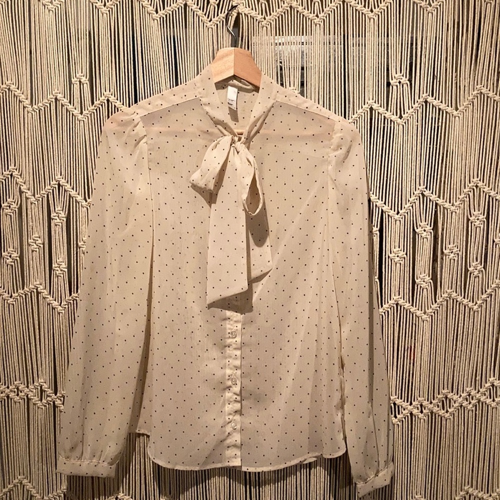 Chiffon polka dot Blouse